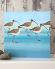 Curlew - Card
