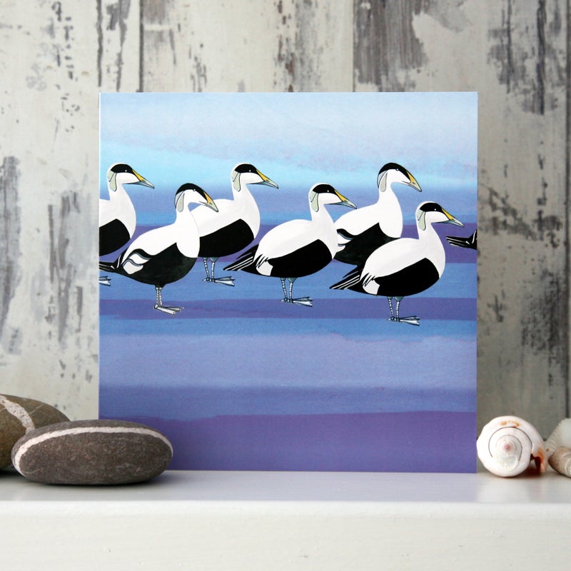 Eiders Greetings - Card