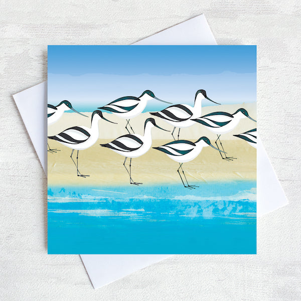 Avocets Greetings Card