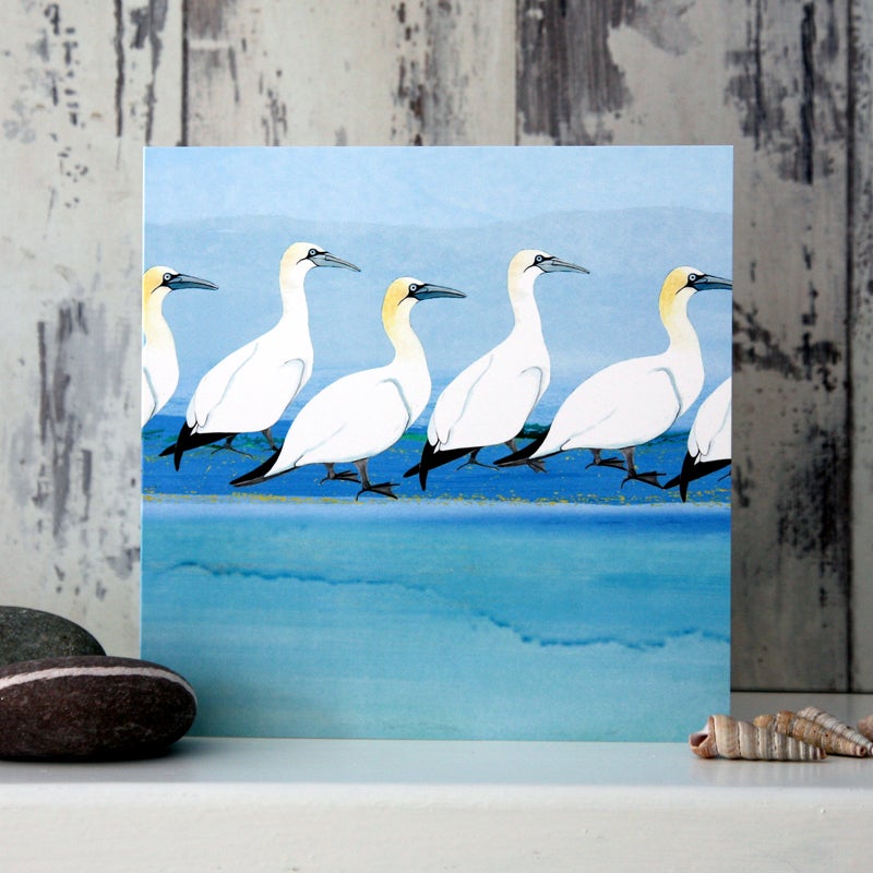 Gannets - Card