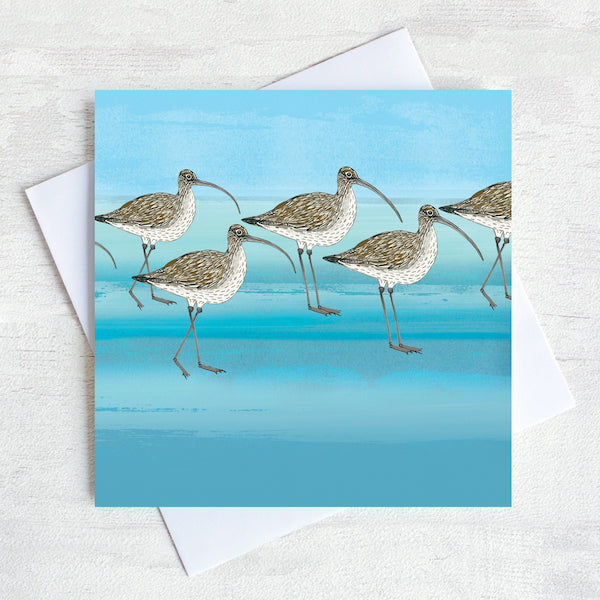 Brown curlew greetings card