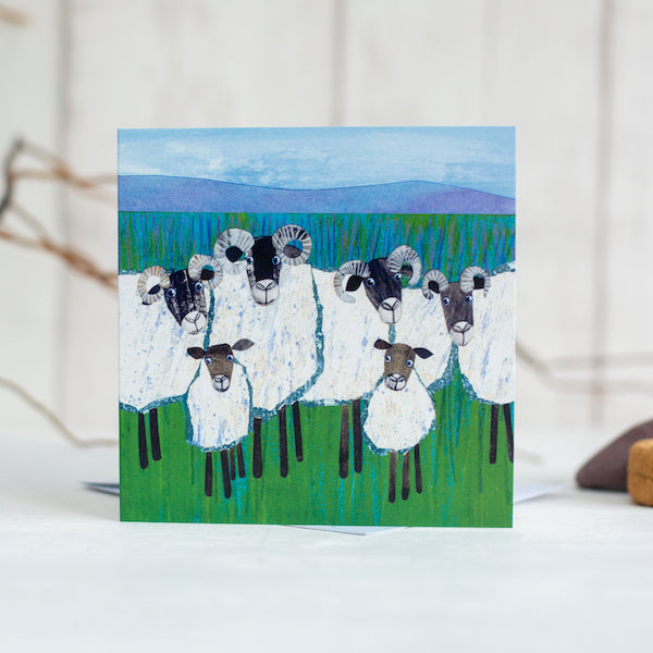 A scottish sheep greetings card featuring the gathering flock.