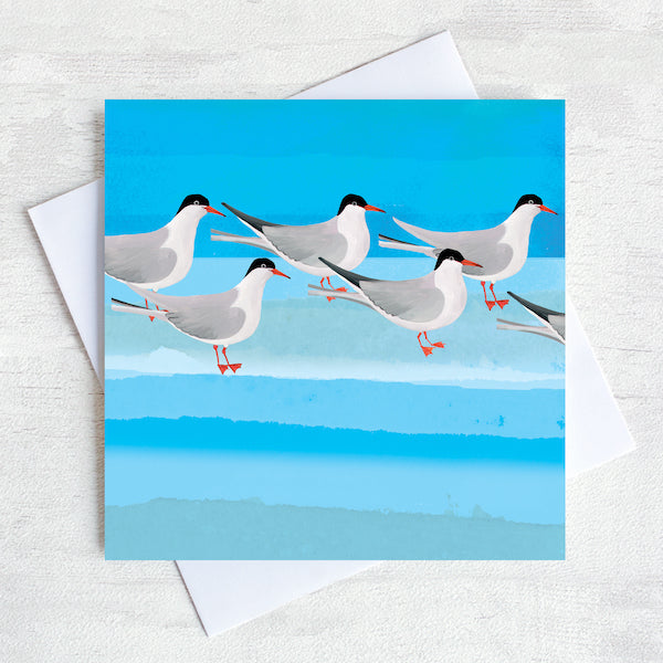 Arctic Terns sea bird Greetings card 