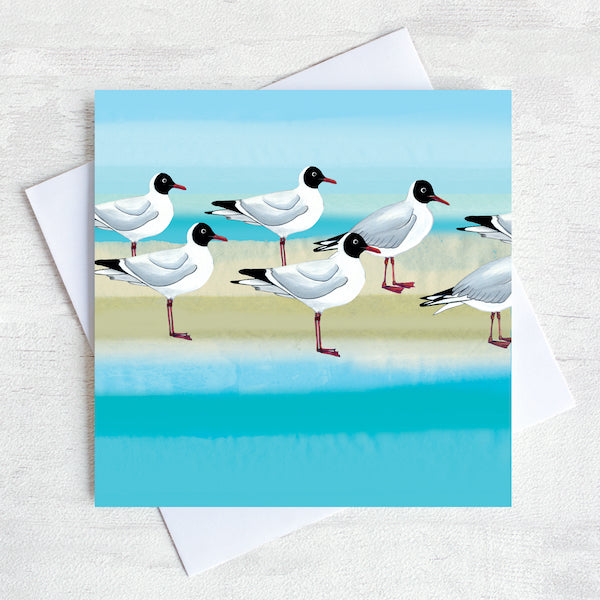 Black headed gull greetings card