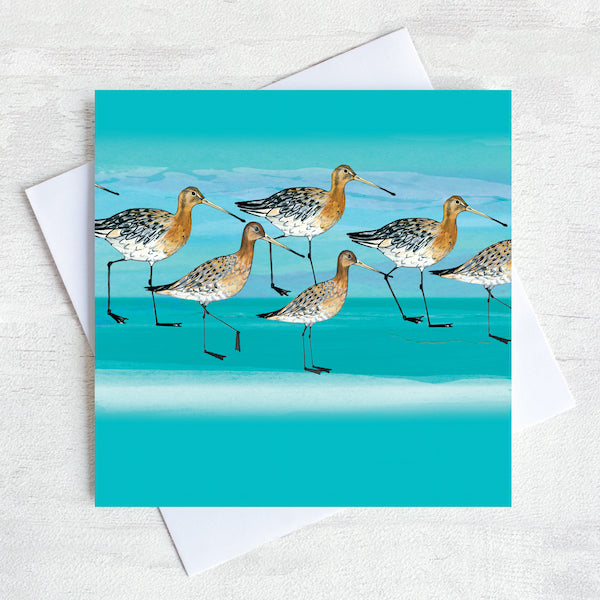 A godwits greetings card. 