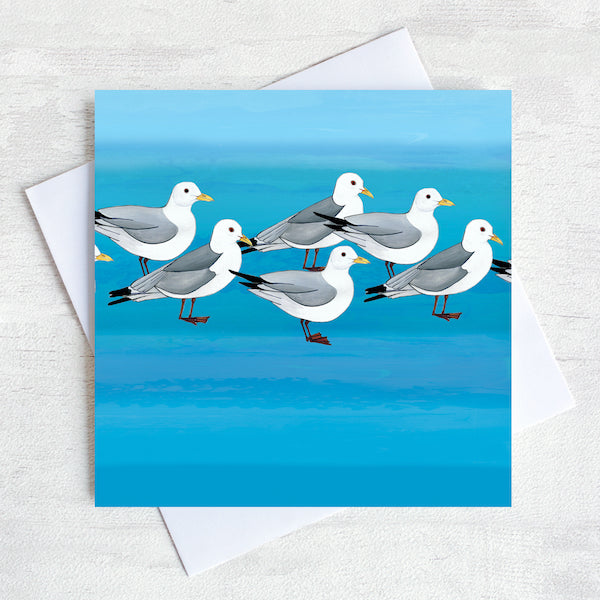 kittiwakes illustrated greetings card