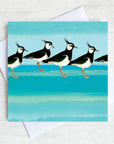Lapwing Greetings Card by Joanne Wishart. A flock of 5 lapwing birds in a row on a teal green background. White Envelope an displayed on a white woodwashed surface.