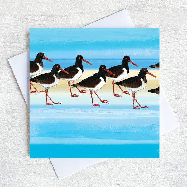 An oystercatchers greetings card. 