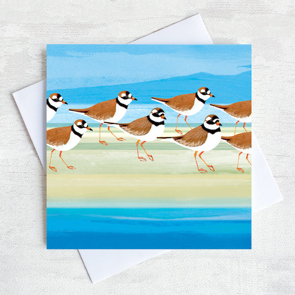Illustrated greetings card featuring a ringed plover bird