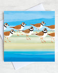 Illustrated greetings card featuring a ringed plover bird