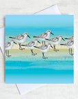 Illustrated greetings card featuring a sanderling bird