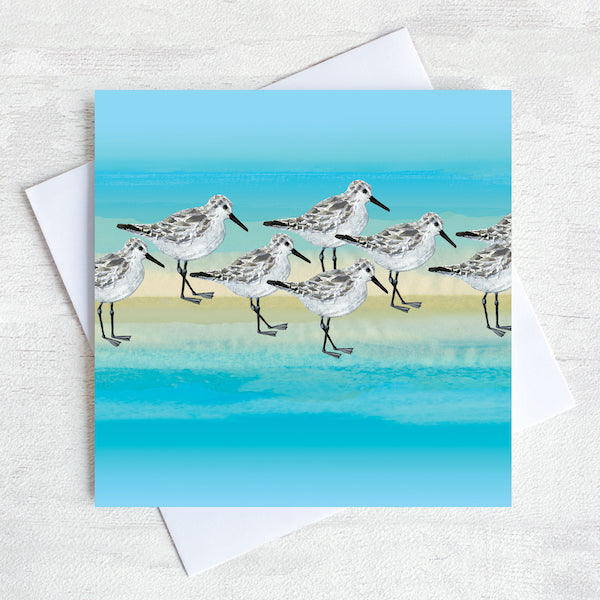 A sanderling design on a greetings card by artist Joanne Wisharty