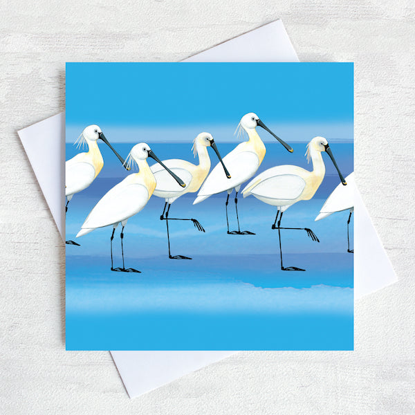 Illustrated greetings card of a spoonbill bird