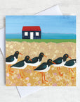 Oystercatchers on a beach with a red tin roofed hut in the background.