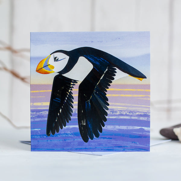 A flying puffin gliding over the sea in the evening light on a greetings card.