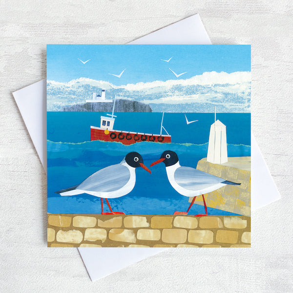 A northumberland greetings card featuring two black headed gulls on a harbour wall in front of the sea and farne islands.