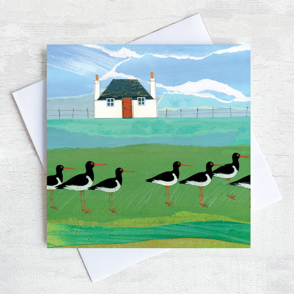 A scottish greetings card featuring a traditional cottage with a flock of oystercatchers in the field.