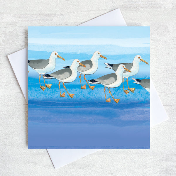 Seagull greetings card