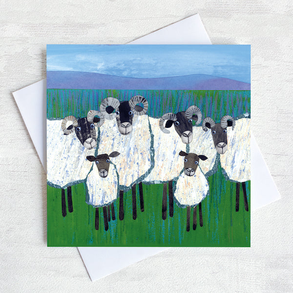 A rural greetings card featuring a quirky flock of sheep  with lambs huddled.