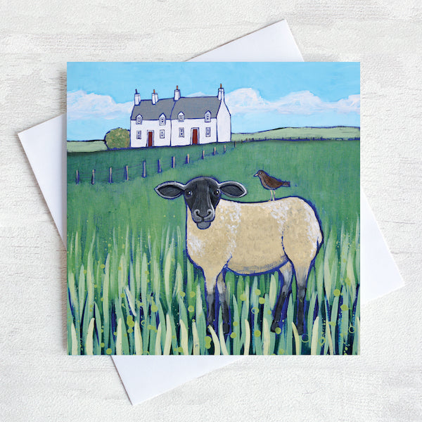 A scottish greetings card featuring a white stone cottage with a black headed sheep in the field in front with a starling on its back.