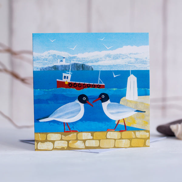A greetings card featuring two quirky black headed gulls infront of a view to the sea and the farne islands with a bright red fishing boat on the water.