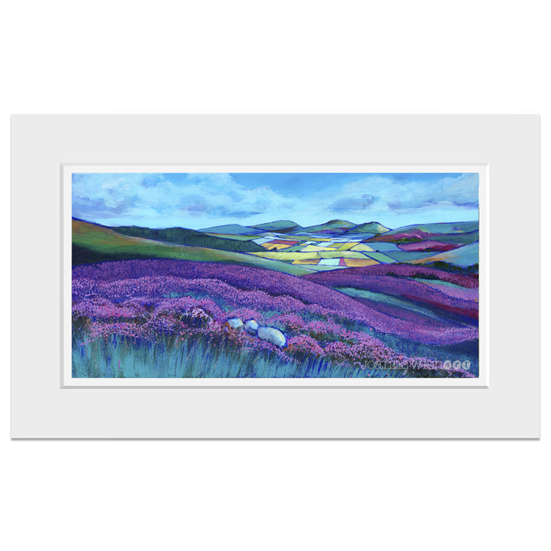 Hills and Fields of Northumberland - Fine Art Print