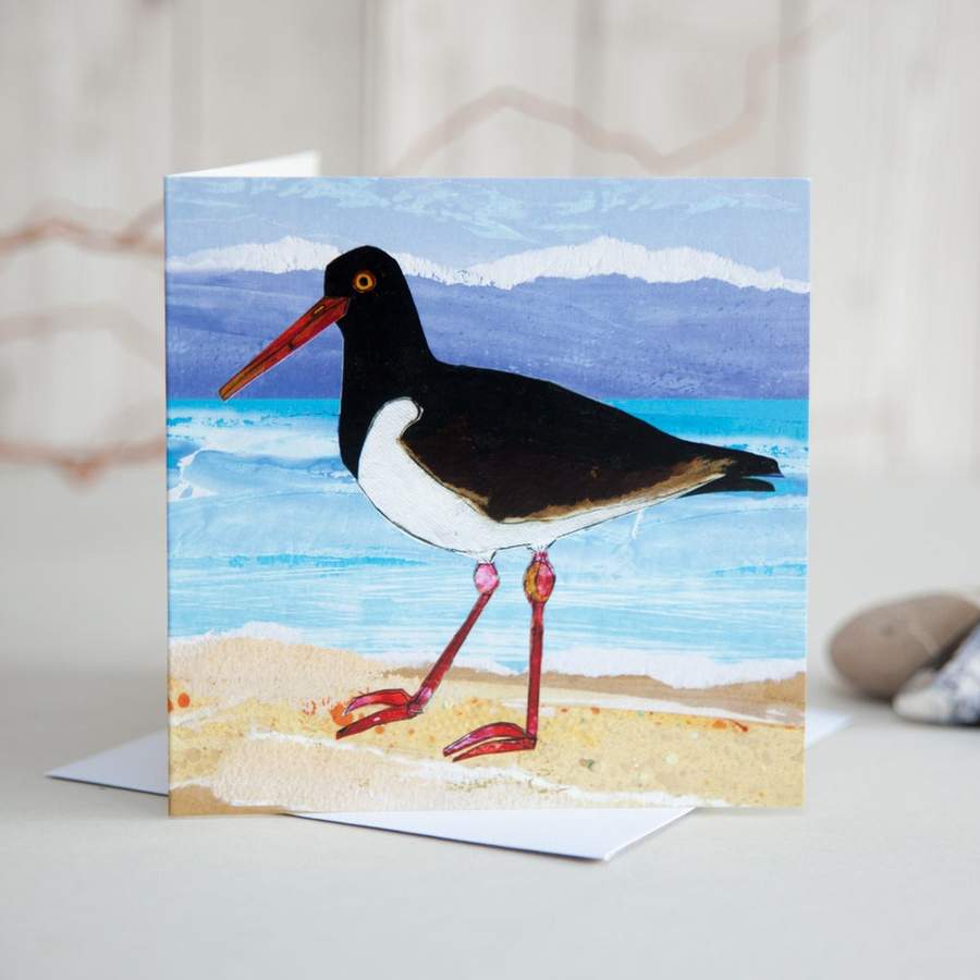 Oystercatcher on Sand Greetings Card