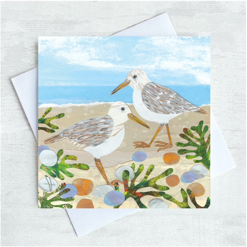 Two white and grey birds are seen pottering on a pevled shoreline interspersed with bright green seaweed. 