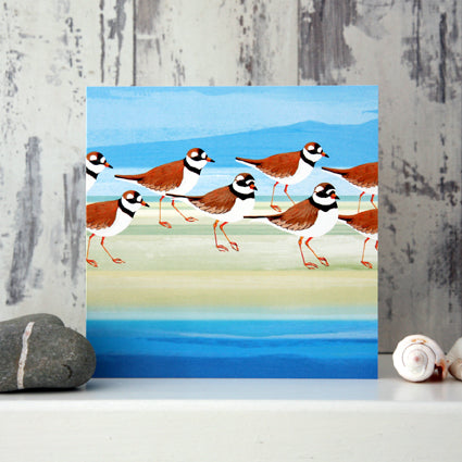 Ringed Plover - Card