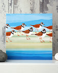 Ringed Plover - Card