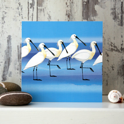 Spoonbills - Card