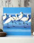 Spoonbills - Card