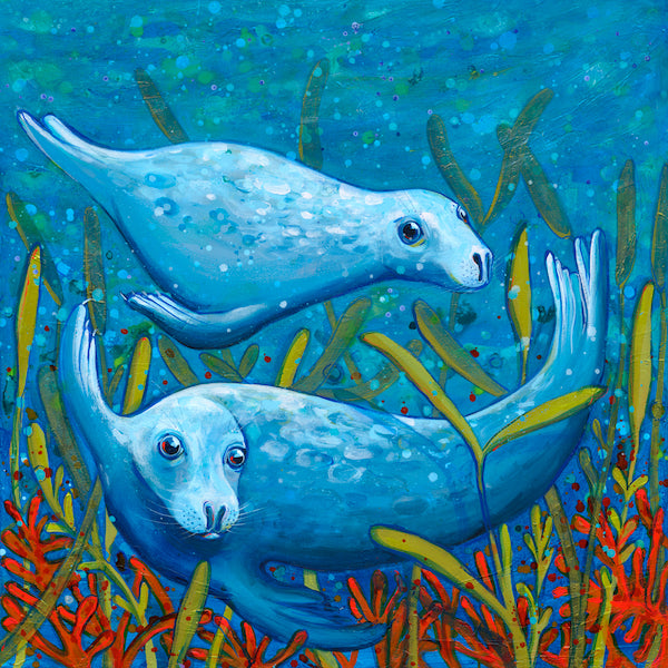 Two seals submerged below the deep waters. Both have a curious expression with open eyes swimming amongst colourful red and green seaweed. 