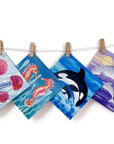 A greetings card collection of aquatic animals including plaice , jellyfish , seahorse, orca, dolphins and puffins.