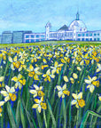 Daffodils at the Dome Whitley Bay Art Print