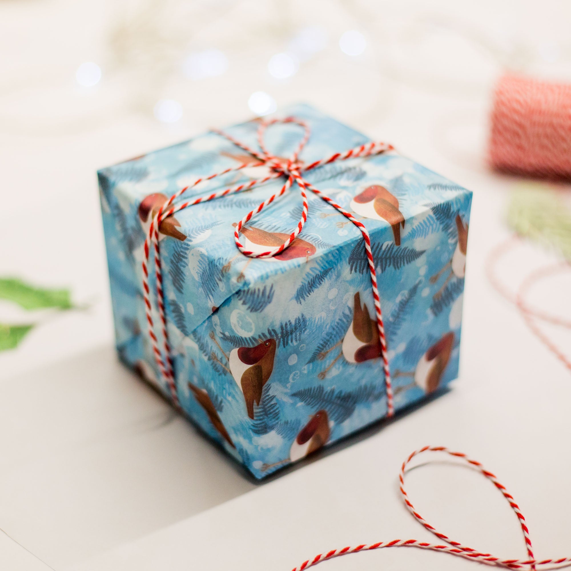 Cube package wrapped with gorgeous Robin gift wrap paper and finished with white and red string tied in a bow. The gift wrap has a blue background with Foliage dispersed between the charming Robin characters with bright red chests.