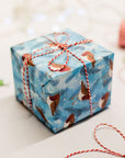 Cube package wrapped with gorgeous Robin gift wrap paper and finished with white and red string tied in a bow. The gift wrap has a blue background with Foliage dispersed between the charming Robin characters with bright red chests.