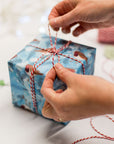 This image features a cubed package wrapped with gorgeous Robin gift wrap paper being finished with white and red string. The gift wrap has a blue background with Foliage dispersed between the charming Robin characters with bright red chests.