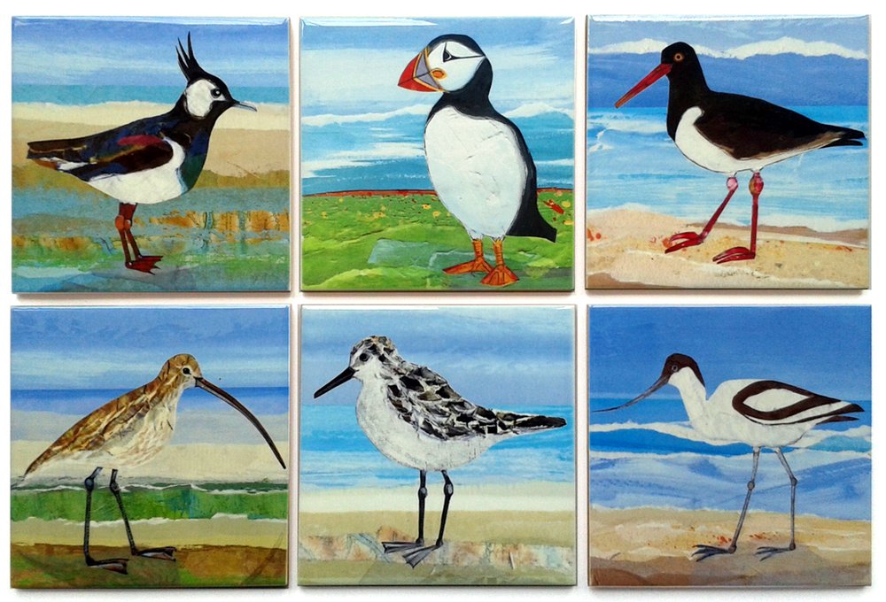 British Seabird Ceramic Coasters Gift Set