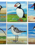 British Seabird Ceramic Coasters Gift Set